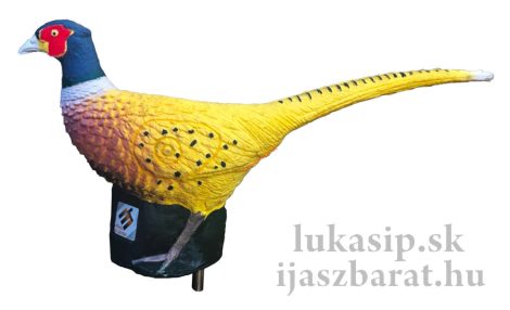3D zlatý bažant Eleven
