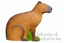 3D capybara SRT