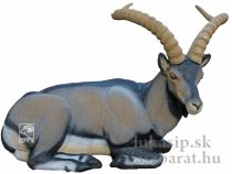 3D ležiaci kozorožec pyrenejský SRT