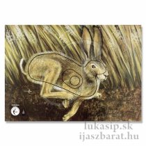 Papierový terč zajac (Krueger) 