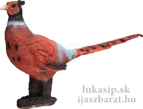 3D bažant Booster
