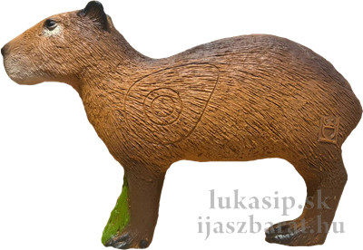 3D capybara TIKK 3Di 3D capybara TIKK 3Di