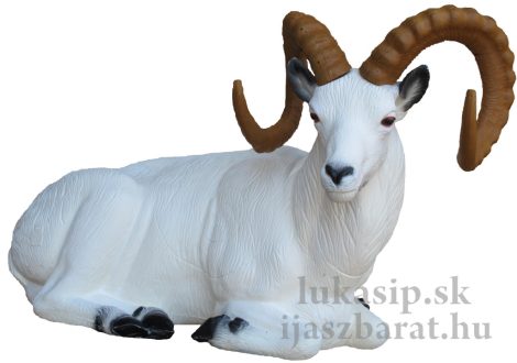 3D ležiaca ovca Dallova SRT