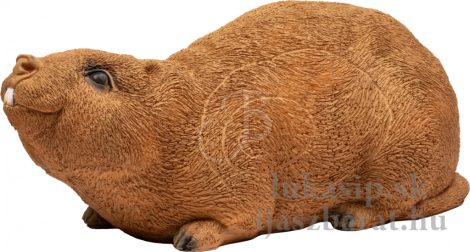 3D krysa bambusová (bamboo rat) Booster